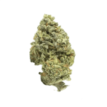 Canify Cannabis flos 18/1 UY Ku. Big Buddha